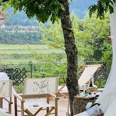 Amarante-Quinta D'Manuel Maria, Rural Charm Houses المظهر الخارجي الصورة