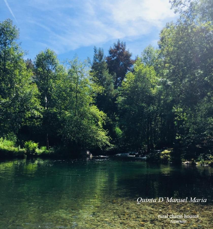 Amarante-Quinta D'Manuel Maria, Rural Charm Houses المظهر الخارجي الصورة